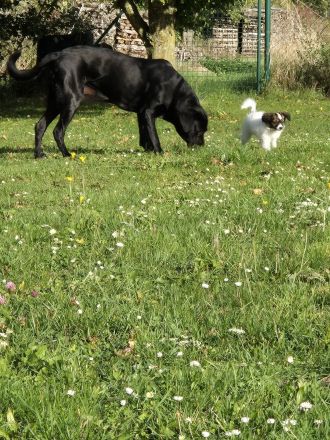 Cushla Macree's Phalène