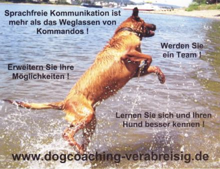 dogcoaching vera breisig