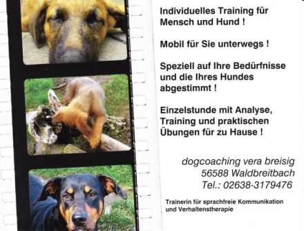 dogcoaching vera breisig