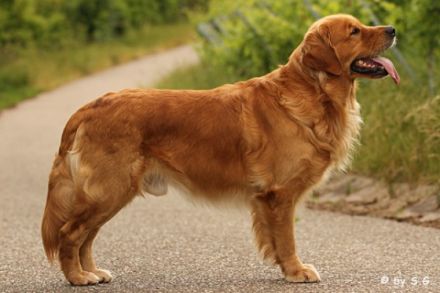 Chalestino von der schwäbischen Toskana