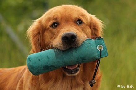 Chalestino von der schwäbischen Toskana