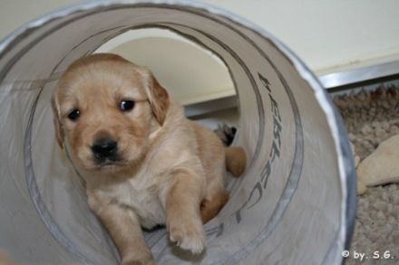 von der schwäbischen Toskana