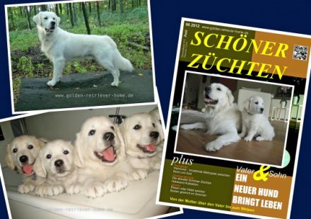 Baron    - sucht GRÄFIN -