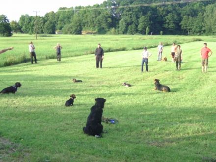 Hundeschule vom Wittelsbacher Land