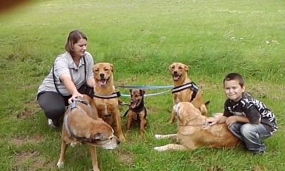 Hand & Pfote Tierheilpraxis