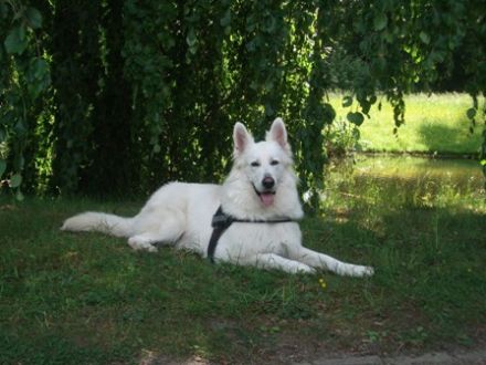 Aik von White of Eden