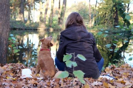 Mobile Hundeschule CommuniCanis Berlin