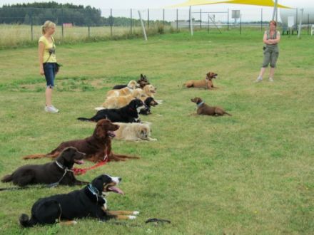 Hundeschulungszentrum Wagner´s Dog Friends