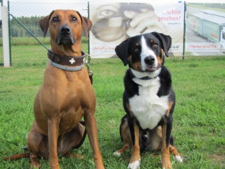 Hundeschulungszentrum Wagner´s Dog Friends