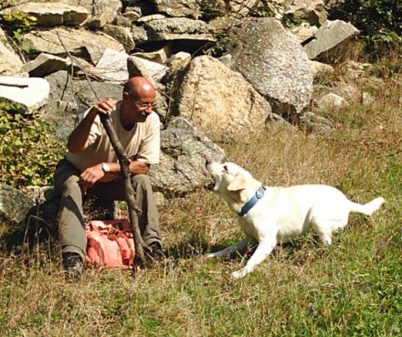 Hundeschulungszentrum Wagner´s Dog Friends