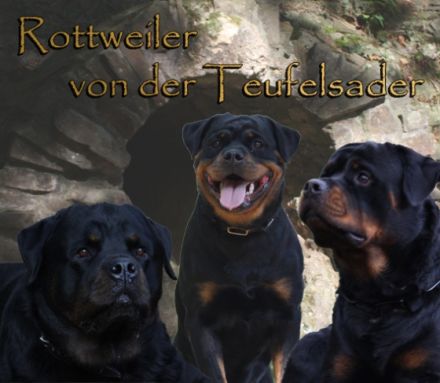 von der Teufelsader