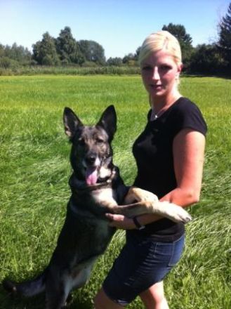 Mobile Hundeschule: Unterwegs für vier Pfoten