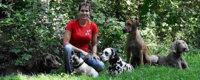 Shyva - Hundeschule Norderstedt