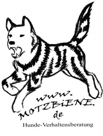 Motzbiene Hunde-Verhaltensberatung