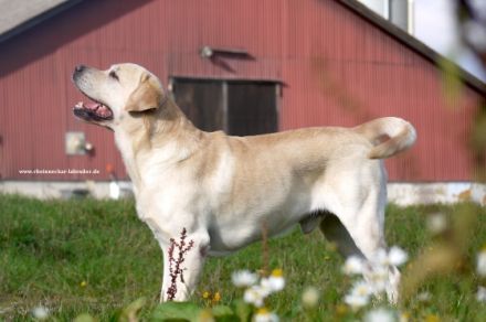 Gordon-Yuma v. F. F.
