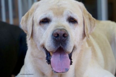 Gordon-Yuma v. F. F.