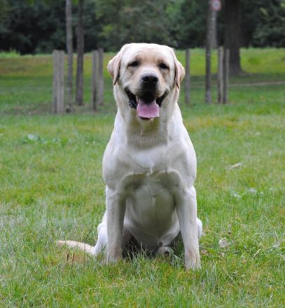 Gordon-Yuma v. F. F.