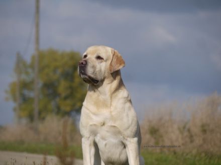 Gordon-Yuma v. F. F.