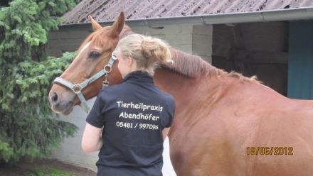 Tierheilpraxis Abendhöfer