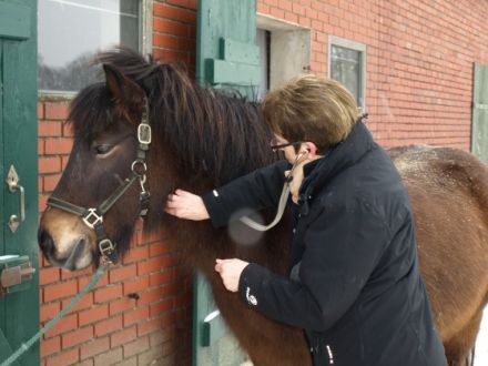 Tierheilpraxis Abendhöfer
