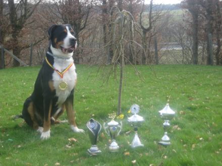 ARNOLD-FREDDY von der Alten Mühle