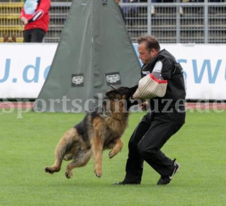 Pico vom Langenbungert