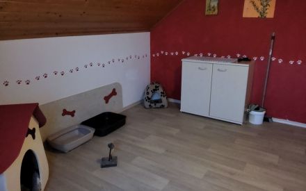 Katzenpension Walther