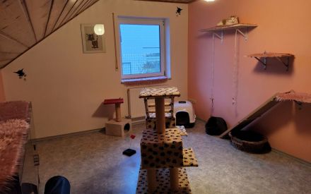 Katzenpension Walther