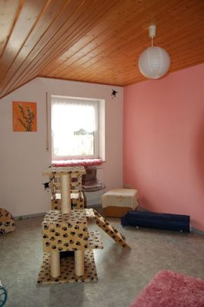 Katzenpension Walther