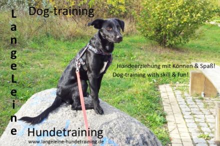 LangeLeine Hundetraining