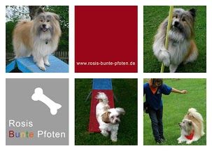 Rosis Bunte Pfoten