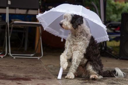 Rosi Lachmann - HotDogZ