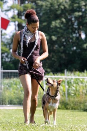 Hundeerziehung mit Herz