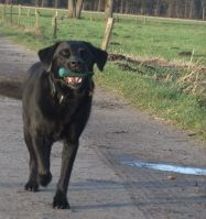 Hundeurlaub-mit-Annette