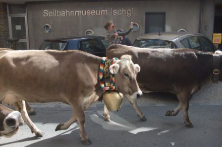 Hundeurlaub-mit-Annette