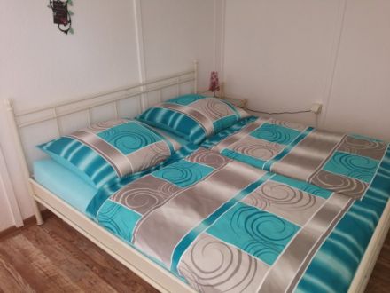 "hund-tastische" Ferien bei den Koestis