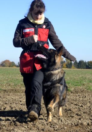 von den schwarzen Timber Wölfen