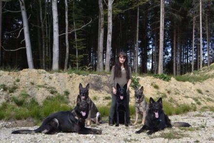 von den schwarzen Timber Wölfen