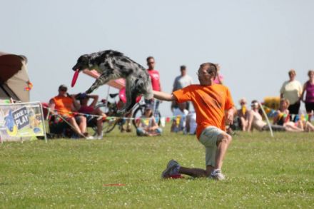 Disc Dogs Altenkirchen - Vize-Weltmeister 2014