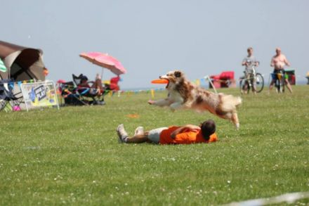 Disc Dogs Altenkirchen - Vize-Weltmeister 2014