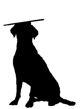 HUNDE UNI TRIER