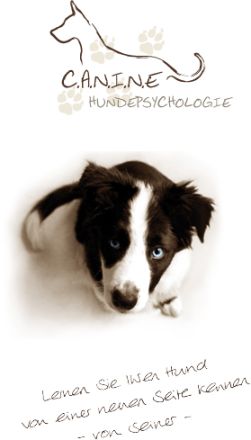 C.A.N.I.N.E Hundepsychologie