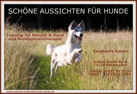 Schöne Aussichten für Hunde