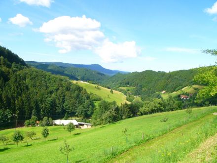 Ferienhaus Müllerbauernhof im Schwarzwald
