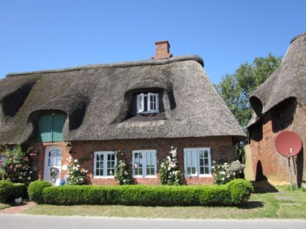 Reetdachkate auf Pellworm