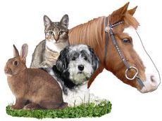 Praxis für Tiernaturheilkunde