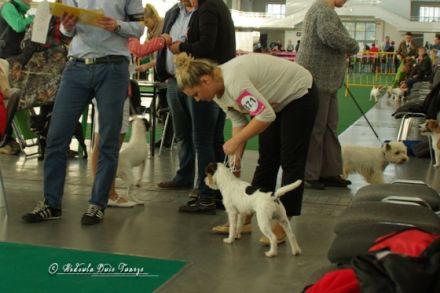 BLACK JACK Dwie Twarze