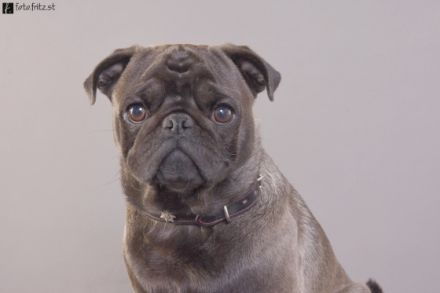 from Home of little Heartbreakers