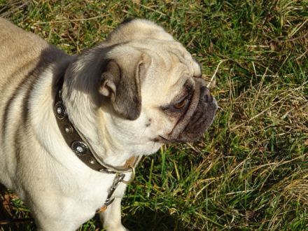 from Home of little Heartbreakers