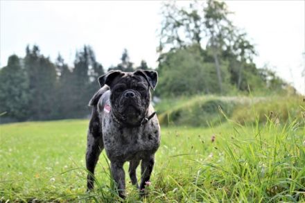 from Home of little Heartbreakers